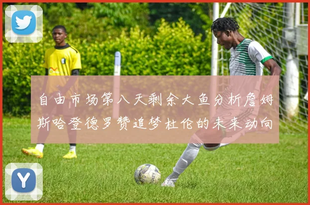 自由市场第八天剩余大鱼分析詹姆斯哈登德罗赞追梦杜伦的未来动向