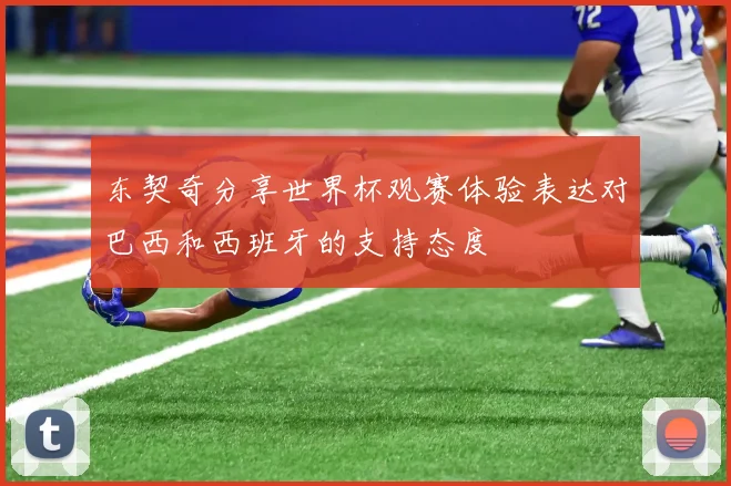 东契奇分享世界杯观赛体验表达对巴西和西班牙的支持态度